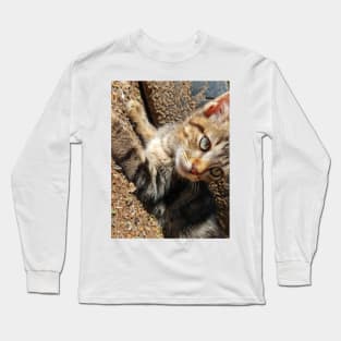 My cat pet Long Sleeve T-Shirt